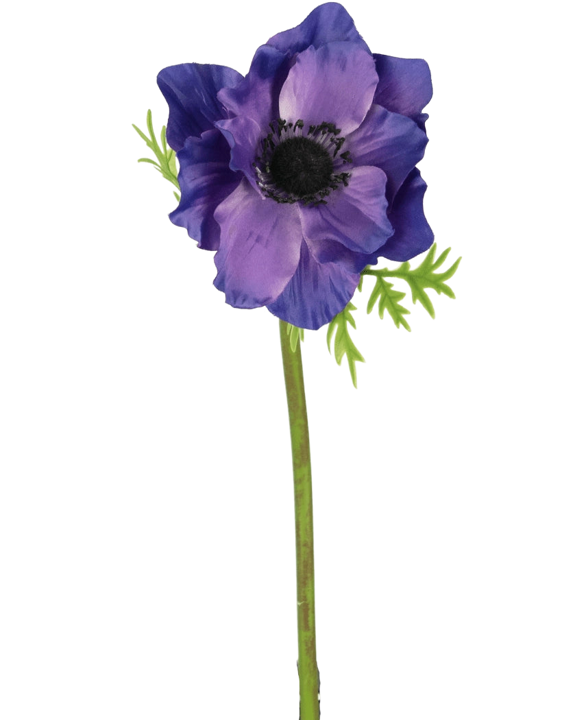 Den kunstige blomsteranemone 43 cm lilla har et mørkt hjerte, sarte grønne blade og en lang grøn stilk, som danner en slående kontrast mod den almindelige hvide baggrund.