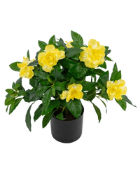 Kunstig plante Gardenia 39 cm
