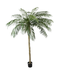 Kunstig palme Phoenix De Luxe 250 cm