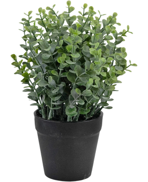 Den kunstige plante Pumila 23 cm er en lille grøn potteplante med runde blade i en simpel sort potte, afbildet på en hvid baggrund.