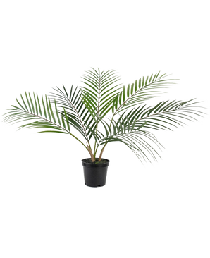 Artificial Palm Chamaedorea 48 cm har lange, slanke grønne blade, der breder sig udad og kommer i en simpel sort plastikpotte mod en almindelig hvid baggrund.