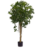 De Kunstplant Schefflera klein blad 150 cm heeft een hoge gedraaide stam en dichte trossen donkergroene bladeren tegen een effen witte achtergrond. Ideaal om een frisse toets aan je interieur te geven of om uit te stallen in stijlvolle sierpotten.