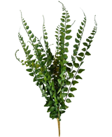 Artificial Stitch Fern 48 cm har kunstige bregnegrene med lange, slanke stængler og fint detaljerede blade, der står oprejst mod en almindelig hvid baggrund.