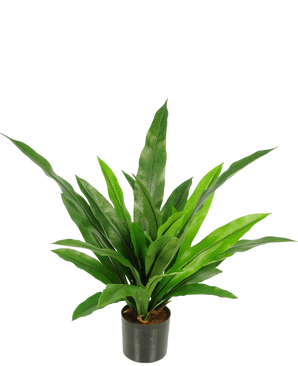 Artificial Plant Bird's Deluxe 60 cm er en grøn potteplante med lange, smalle, spidse blade i en sort potte mod en almindelig hvid baggrund.
