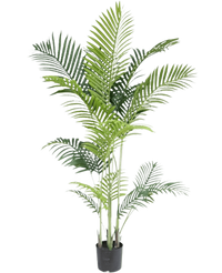 Kunstig plante Phoenix 170 cm