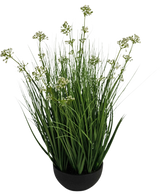 Kunstgræs Porreblomst Løg Græspotte 60 cm brandhæmmende har høje, tynde græslignende grønne blade med små hvide blomsterklaser i en sort potte, mod en hvid baggrund.