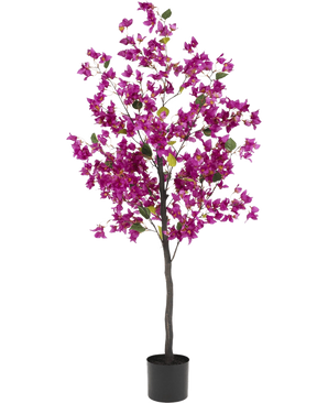 Artificial Bougainvillea 150 cm Purple har en høj, slank stilk med levende lilla blomster og grønne blade, i en simpel sort potte mod en hvid baggrund.