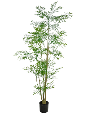 Artificial Ruscus 210 cm er en høj kunstig plante med slanke grønne blade og flere tynde, brune stængler i en lille sort potte, mod en almindelig hvid baggrund.