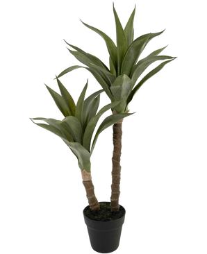 Den kunstige planteagave 76 cm har to lange, tykke stængler med spidse grønne blade, der ligner en agave, præsenteret i en sort plastikpotte mod en almindelig hvid baggrund.