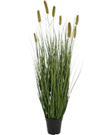 Artificial Grass Matsutake løggræspotten 90 cm brandhæmmende har en sort potte med lange, tynde grønne græslignende blade og gullige luftige cylindriske blomsterpigge, mod en almindelig hvid baggrund.