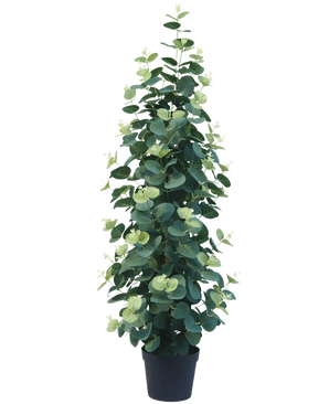 Kunstplanten Eucalyptus 76 cm er en høj, frodig kunstig eukalyptusplante med runde grønne blade i en sort potte, mod en almindelig hvid baggrund.