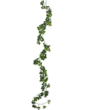 Den kunstige slyngplante Gardenia 157 cm har en enkelt, lang grøn ranke med små blade, der hænger lodret mod en almindelig hvid baggrund.