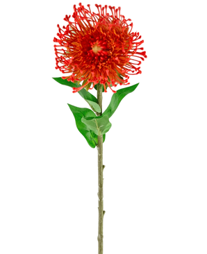 Artificial Flower Protea 73 cm rød har livlige røde kronblade, grønne blade og en lang slank stilk, hvilket gør den til en slående kunstig blomst, der tilføjer varig skønhed til ethvert rum.
