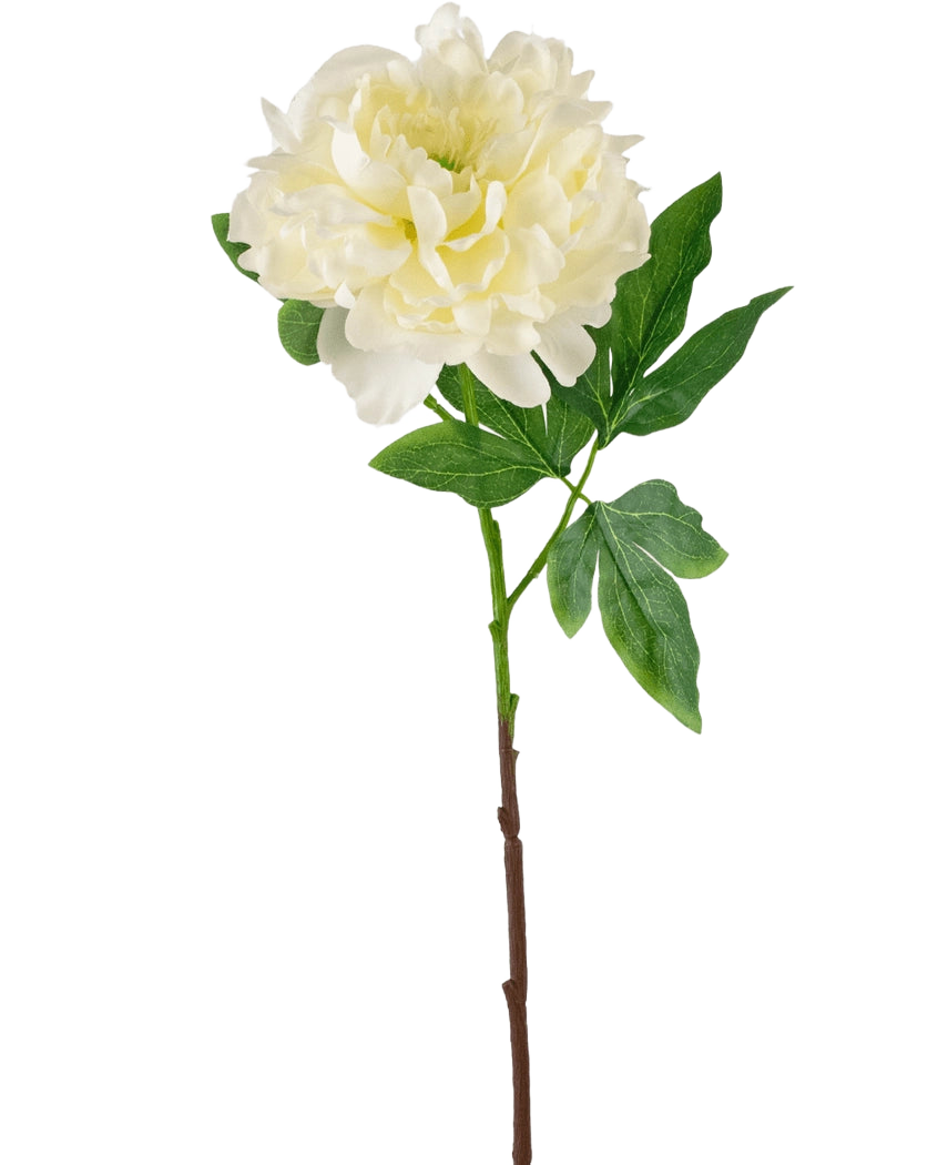 Den kunstige blomsterpæon 61 cm hvid er en kunstig hvid pæon med lagdelte kronblade og grønne blade på en lang brun stilk, afbildet mod en almindelig hvid baggrund.