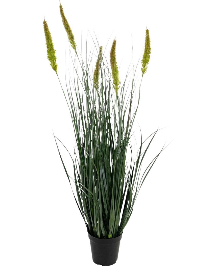 Artificial Grass Cattail Onion Grass Pot 90 cm Brandhæmmende er en kunstig græsplante i potte med lange, slanke grønne blade og flere høje, gulgrønne frøhoveder på en almindelig hvid baggrund.