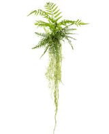 De Kunst hangplant Varen 90 cm heeft weelderige groene varenbladeren met lange, slepende stengels die naar beneden hangen tegen een effen witte achtergrond.
