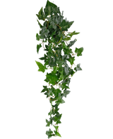 Den kunstige hængeplante Ivy Boston 100 cm grøn har frodige grønne spidse blade på lange, tynde stængler, hvilket skaber en realistisk slæbende efeueffekt mod en almindelig hvid baggrund.