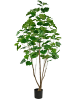 Den kunstige planteficus 210 cm er en høj stueplante i potte med flere slanke brune stængler og frodige store grønne blade, mod en almindelig hvid baggrund.