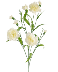 Kunstig blomst Nellikeklase 70 cm hvid