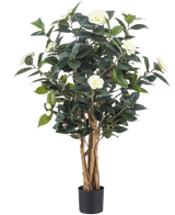 Kunstplanten Camellia japonica 100 cm har flere høje brune stængler, mørkegrønne blade og hvide kunstige blomster mod en almindelig hvid baggrund.