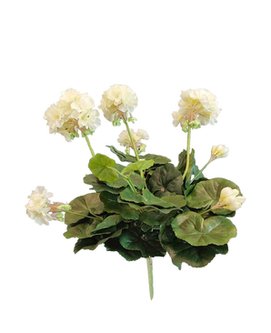 De Kunst Geranium 40 cm wit heeft levensechte witte bloemen en weelderige groene bladeren - perfect om tijdloze elegantie toe te voegen aan je kunstplant- of kunstbloemencollectie.
