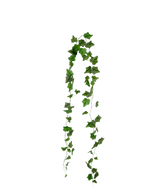 Artificial Ivy Garland 180 cm grøn har spidse grønne efeublade, der hænger i to tråde mod en almindelig hvid baggrund.