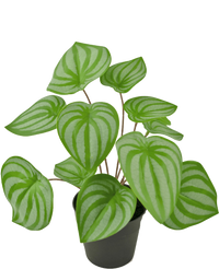 Kunstig plante Vandmelon 29 cm