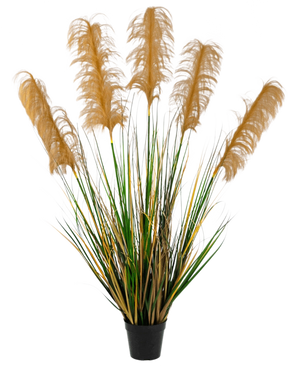 De Kunst Pampasgras 120 cm brandvertragend heeft hoge groene en gele grasachtige bladeren met pluizige bruine pluimen. Deze elegante, brandvertragende kunstplant voegt verfijning toe aan elke collectie nepplanten tegen een witte achtergrond.