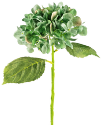 Kunstig hortensia Deluxe 33 cm mørkegrøn