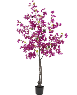 Artificial Bougainvillea 180 cm Purple har mørke grene, livlige lilla blomster og grønne blade i en sort potte - perfekt som en farverig kunstig plante til din stue.