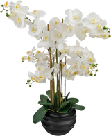 The Artificial Orchid Real Touch 85 cm hvid har store hvide orkidéblomster med et gult hjerte og blanke grønne blade, smukt arrangeret i en sort keramisk potte.