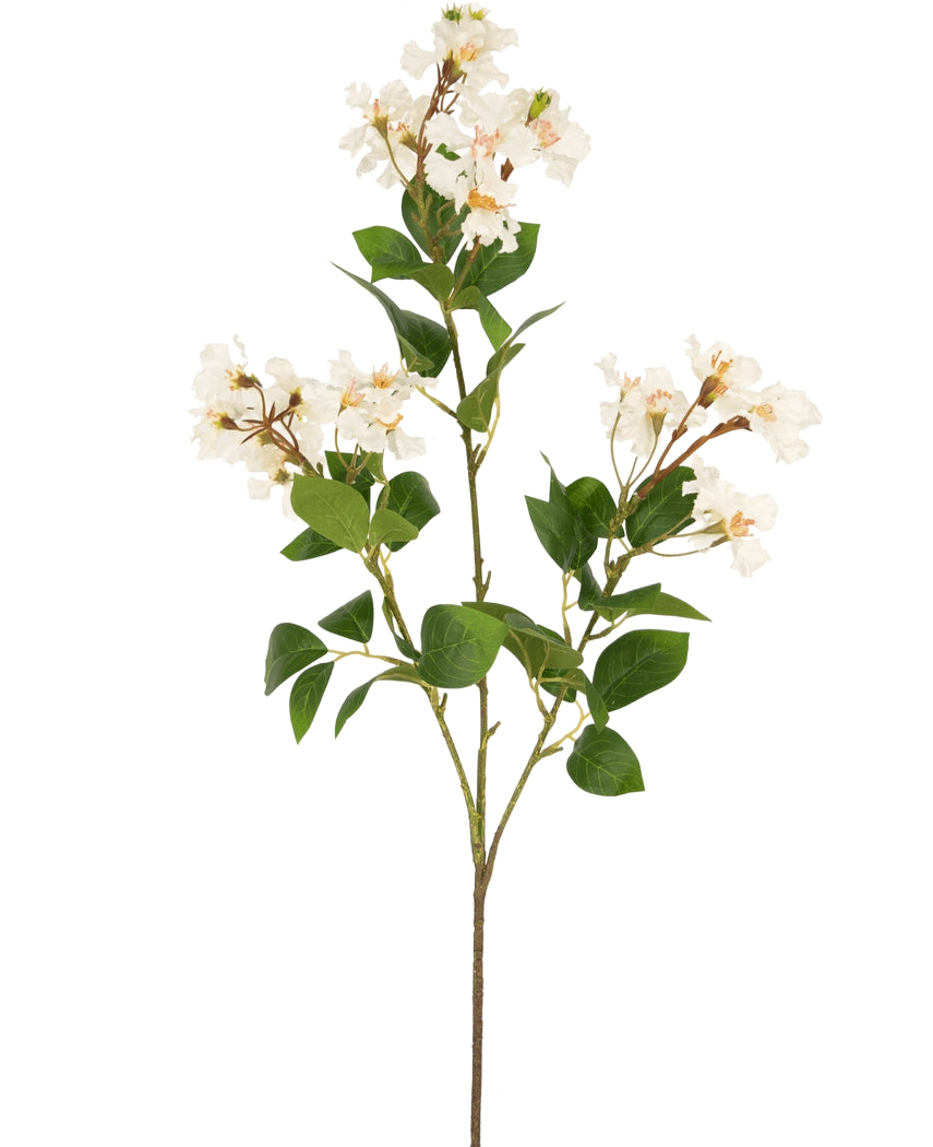 Den kunstige blomst Lagerstroemia 92 cm hvid har en høj stilk med klaser af små hvide blomster og grønne blade, perfekt til at tilføje varig skønhed til ethvert rum. Ideel som en slående kunstig plante mod en almindelig hvid baggrund.