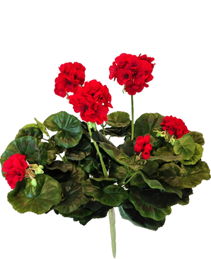 En levende klynge af 40 cm kunstig geranium med runde grønne blade på flere stængler mod en almindelig hvid baggrund.