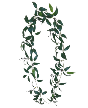Artificial Smilax Garland 180cm er en krans i form af bogstavet O, lavet af lange grønne bladgrene med små bundter af mørke bær mod en almindelig hvid baggrund.