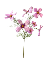 Artificial Flower Cosmos 74 cm pink har en enkelt stilk med flere lyserøde kosmosblomster og sarte grønne blade, smukt vist mod en hvid baggrund.