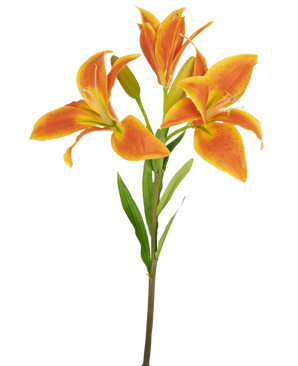 Den kunstige blomst asiatisk lilje 66 cm orange har en enkelt stilk med tre åbne orange liljer, en uåbnet knop og grønne blade mod en lys baggrund.