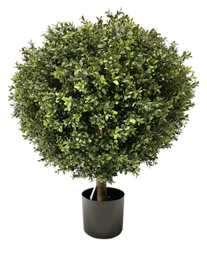 Den kunstige buksbom på stilk UV d60 cm er en tæt, rund kunstig topiary med små grønne blade og en synlig enkelt stilk, pænt trimmet til en kugle og placeret i en simpel sort potte.