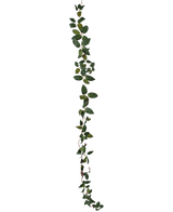 Art Tradescantia Garland Green 180 cm er en enkelt grøn bladvin, der er afbildet lodret mod en almindelig hvid baggrund.
