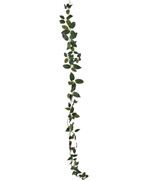 Art Tradescantia Garland Green 180 cm er en enkelt grøn bladvin, der er afbildet lodret mod en almindelig hvid baggrund.