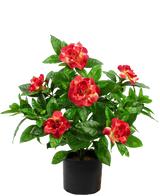 Kunstig plante Gardenia 39 cm fuchsia
