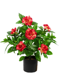 Kunstig plante Gardenia 39 cm fuchsia