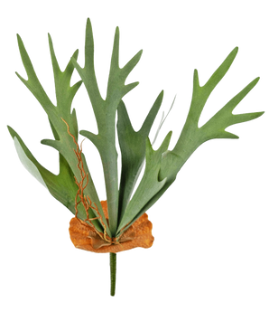Artificial Plant Staghorn 53 cm har grønne, gevirformede blade og en brun, skjoldlignende base, mod en almindelig hvid baggrund.