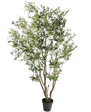 Det kunstige oliventræ 260 cm har flere slanke grene og tætte, smalle grønne blade. På en hvid baggrund bringer denne letplejede kunstige plante ubesværet grønt ind i ethvert rum.