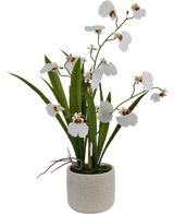 Artificial Oncidium Real Touch 48 cm hvid har naturtro hvide orkideer med grønne blade, smukt arrangeret i en enkel, rund, lys keramisk potte.