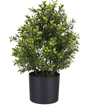 De Kunstplant Buxus Romeinse stijl UV 36cm is een compacte kunstplant in pot met dicht groen gebladerte, weergegeven in een eenvoudige zwarte ronde plantenbak tegen een effen witte achtergrond.