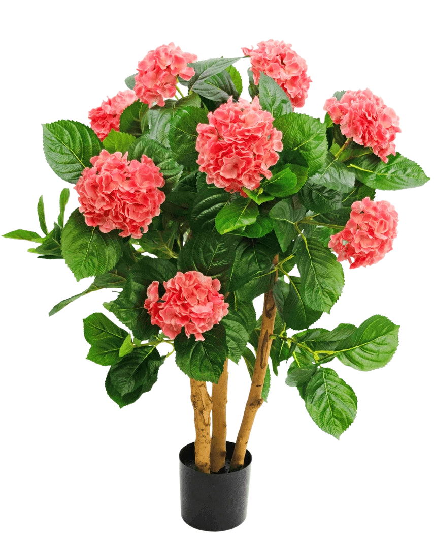 De Kunstplant Hortensia UV 85 cm roze heeft meerdere stelen, brede groene bladeren en roze hortensiabloemen in een zwarte pot, wat zorgt voor een levendig contrast en een levensechte weergave.