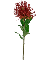 Kunstig blomst Protea 73 cm Mørkerød