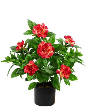 Kunstig plante Gardenia 39 cm fuchsia