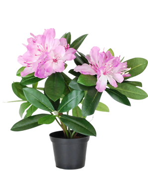 Den kunstige plante Rhododendron 34 cm har levende grønne blade og bundter af lyserøde blomster i en lille sort potte, mod en almindelig hvid baggrund.