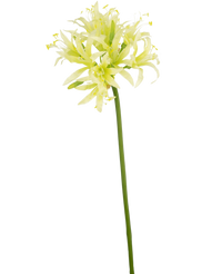 Kunstig blomst Nerine 70 cm grøn